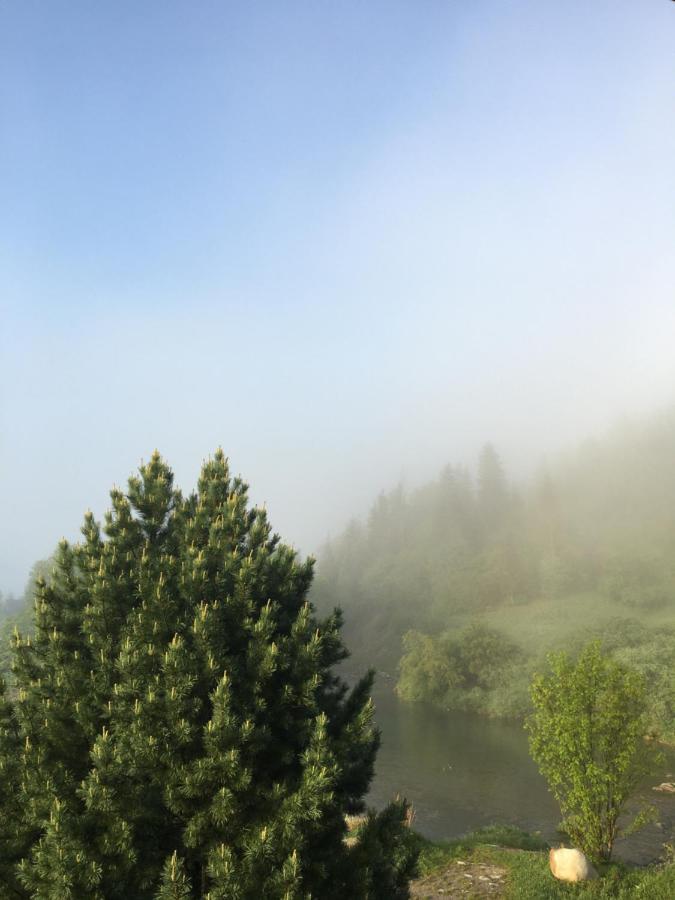 Riverside Habovka Kültér fotó